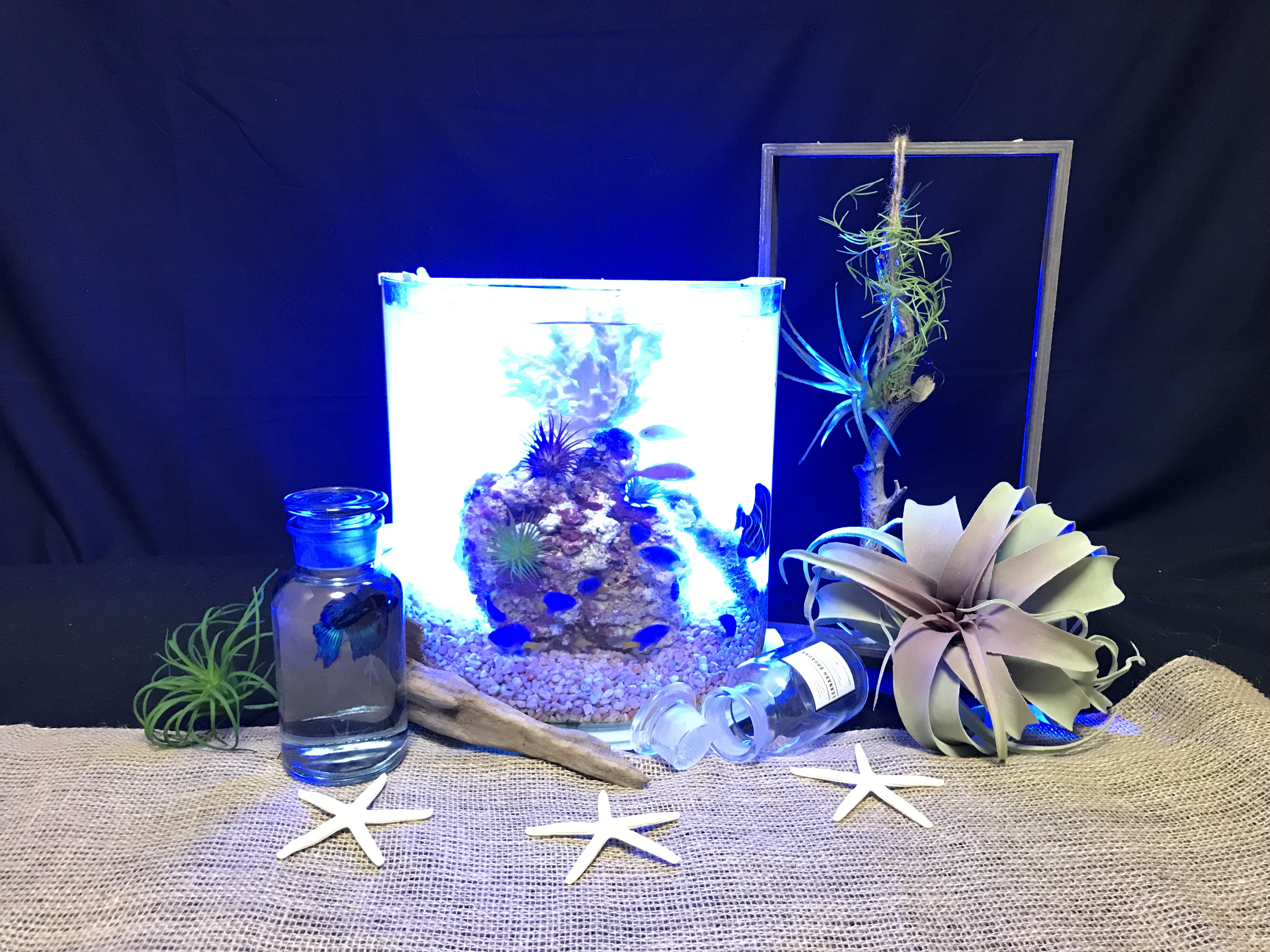 企業検索 はちおうじ