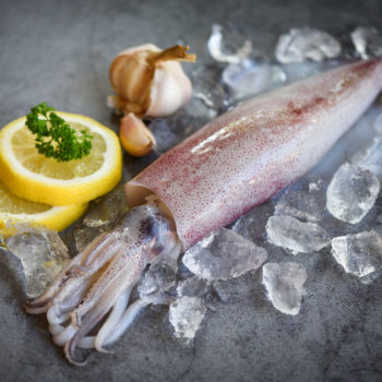 Raw squid on ice with salad spices lemon garlic on the dark plate background / fresh squids octopus or cuttlefish for cooked food at restaurant or seafood market